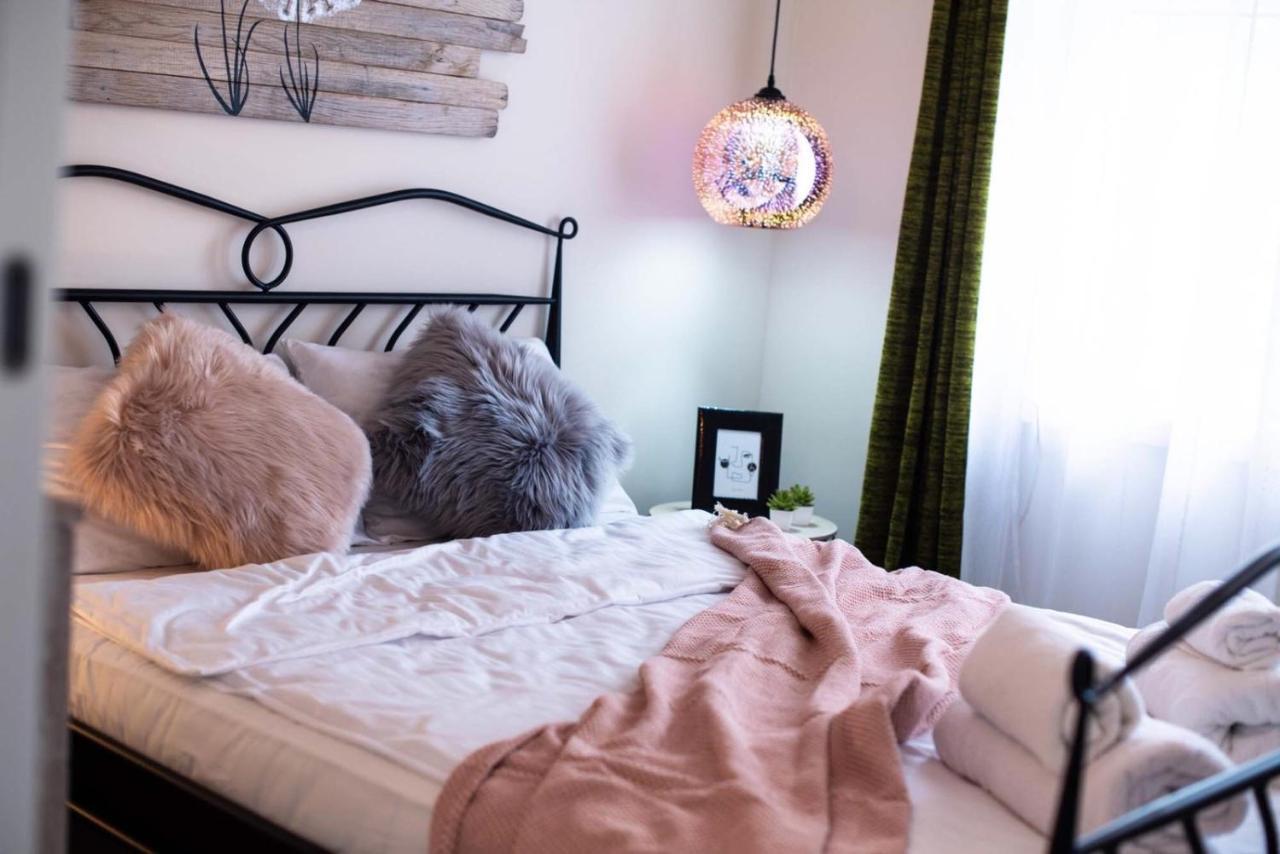 Вилла Todor Boutique House Sremska Kamenica Экстерьер фото