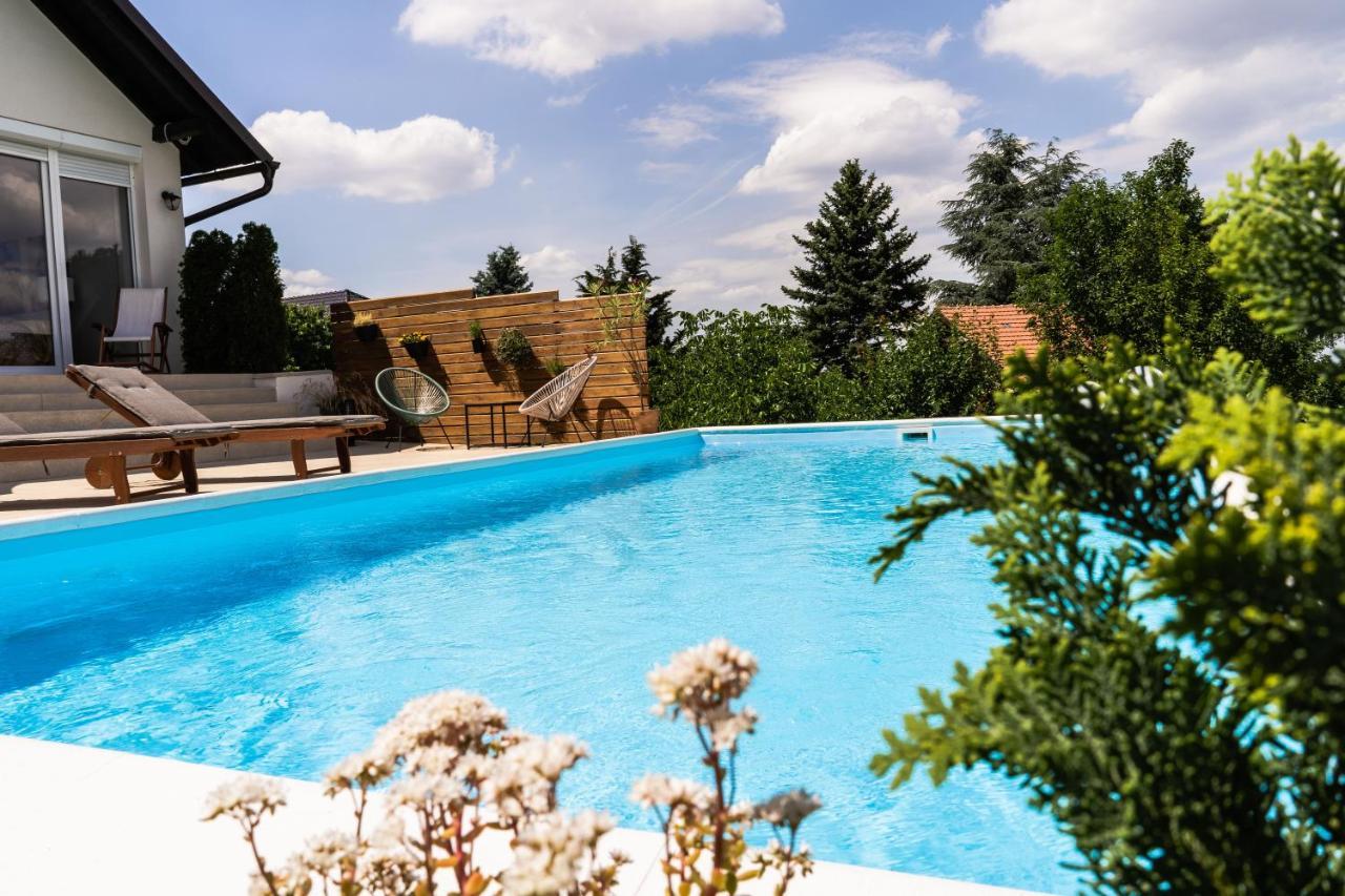 Вилла Todor Boutique House Sremska Kamenica Экстерьер фото