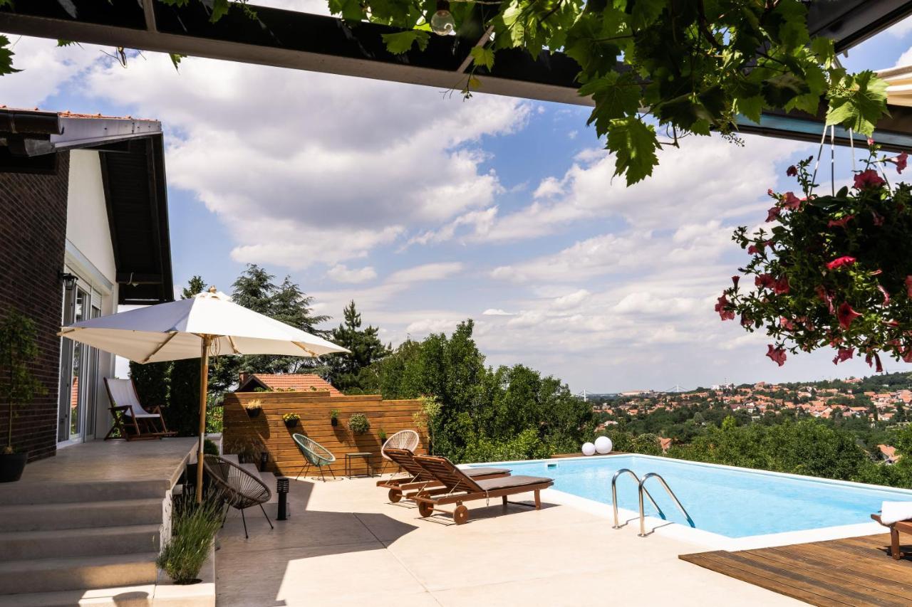 Вилла Todor Boutique House Sremska Kamenica Экстерьер фото