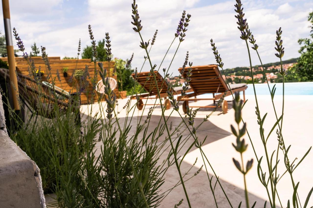 Вилла Todor Boutique House Sremska Kamenica Экстерьер фото